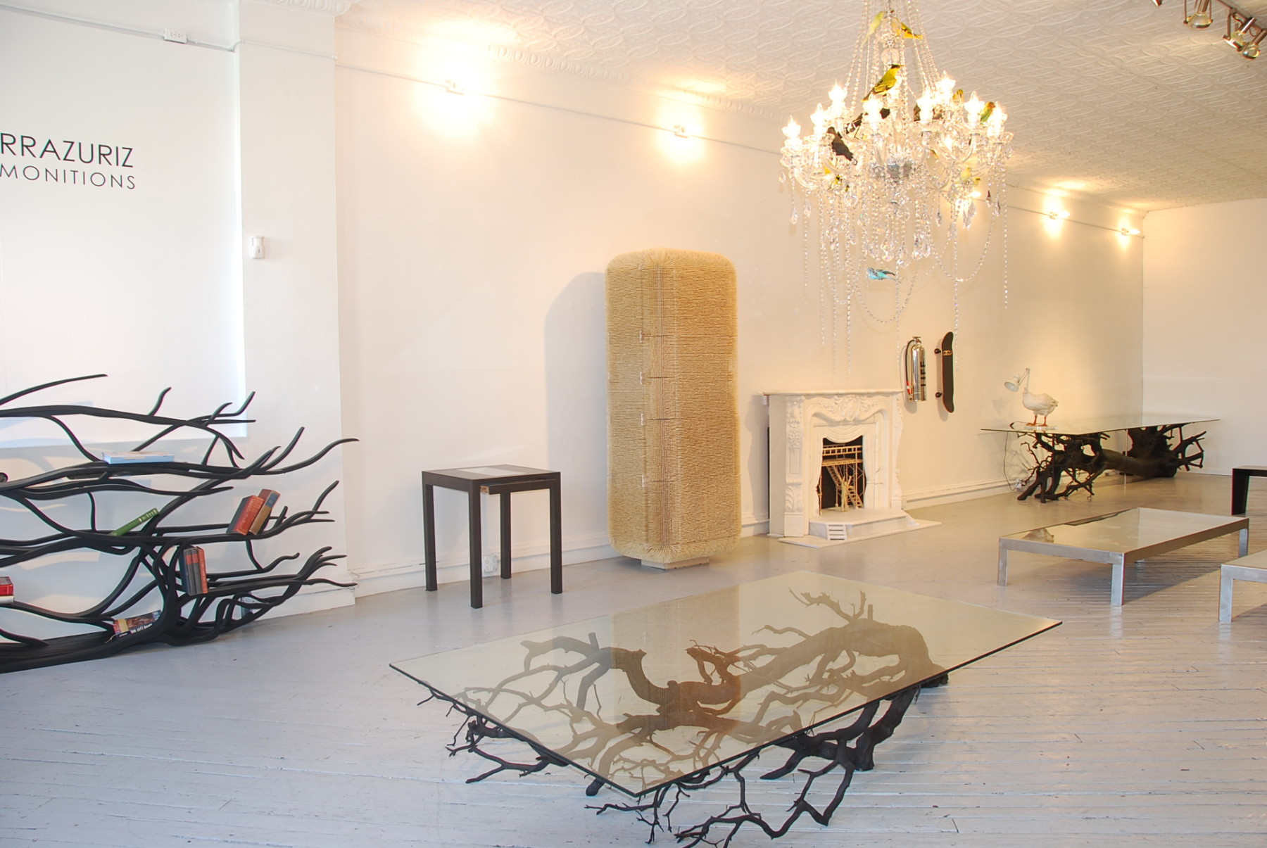 DSC 8365 E1660574854428