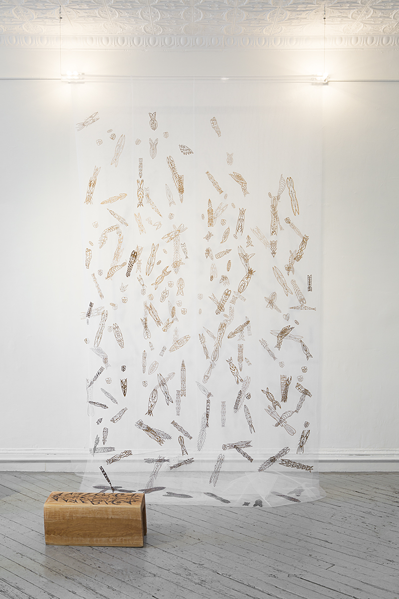 CRISTINA GRAJALES 04