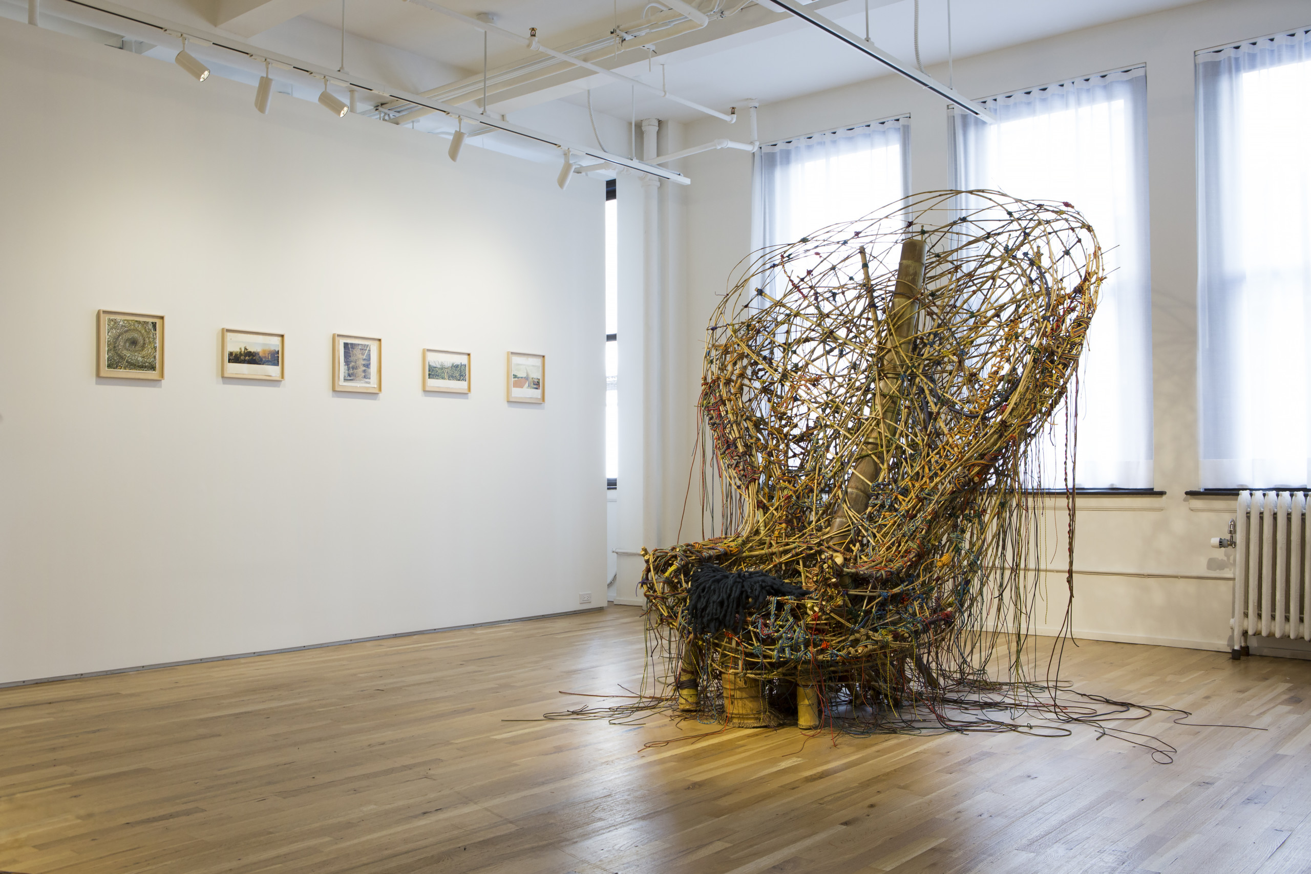 CRISTINA GRAJALES 04