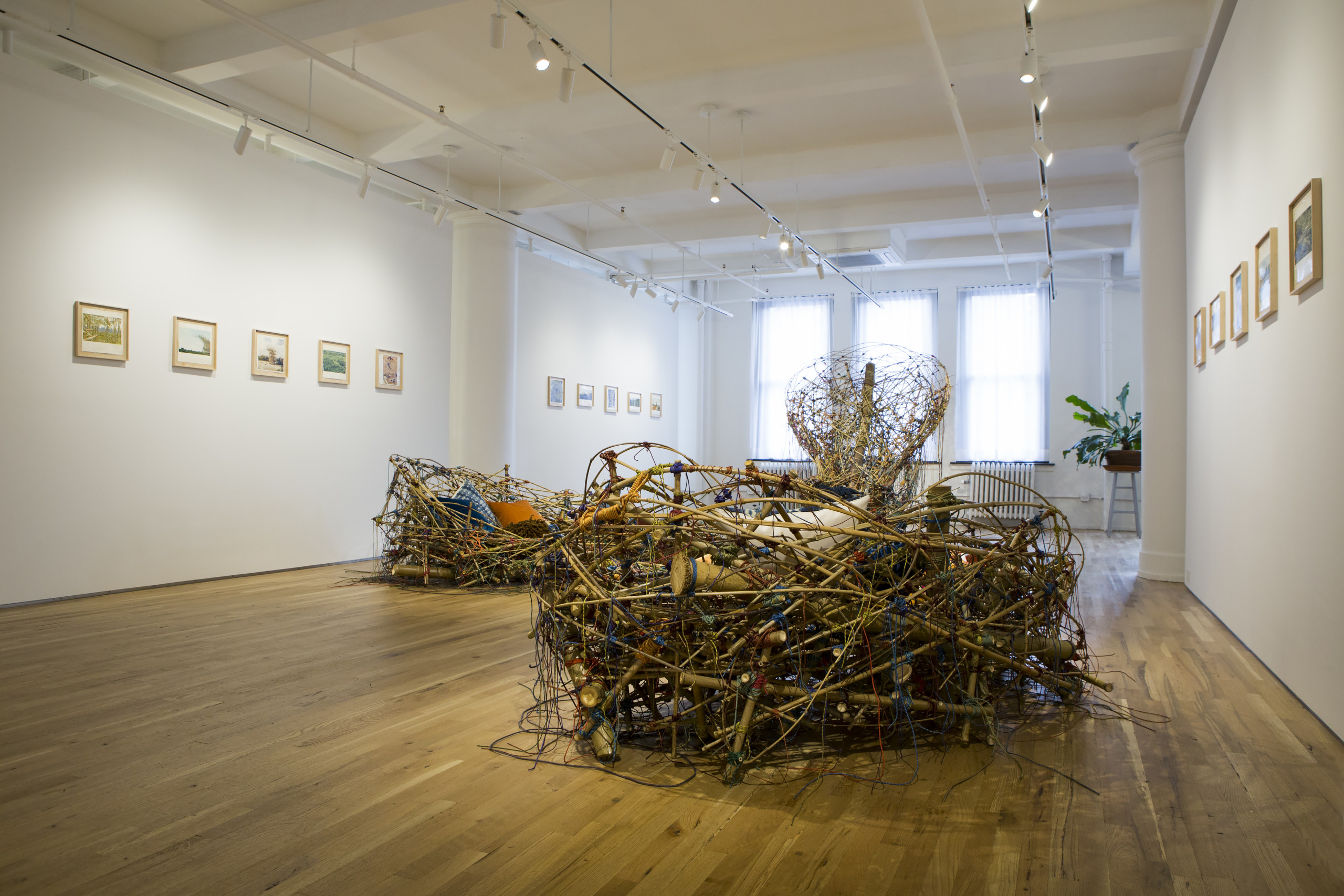 CRISTINA GRAJALES 07