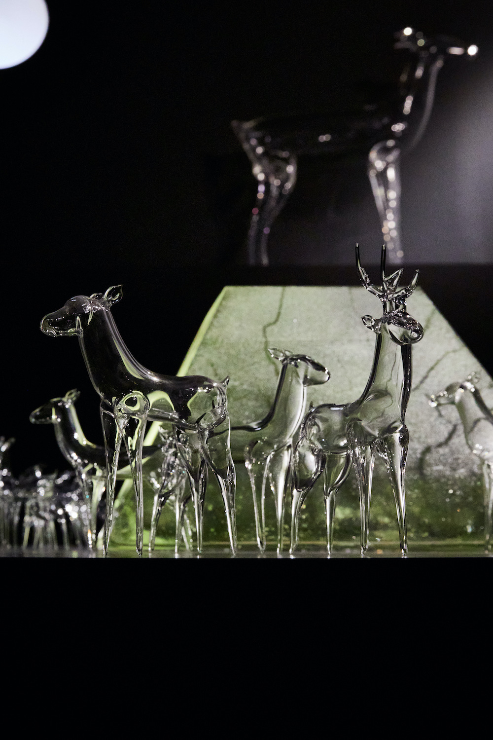 CGRobertWilsonSelects 8