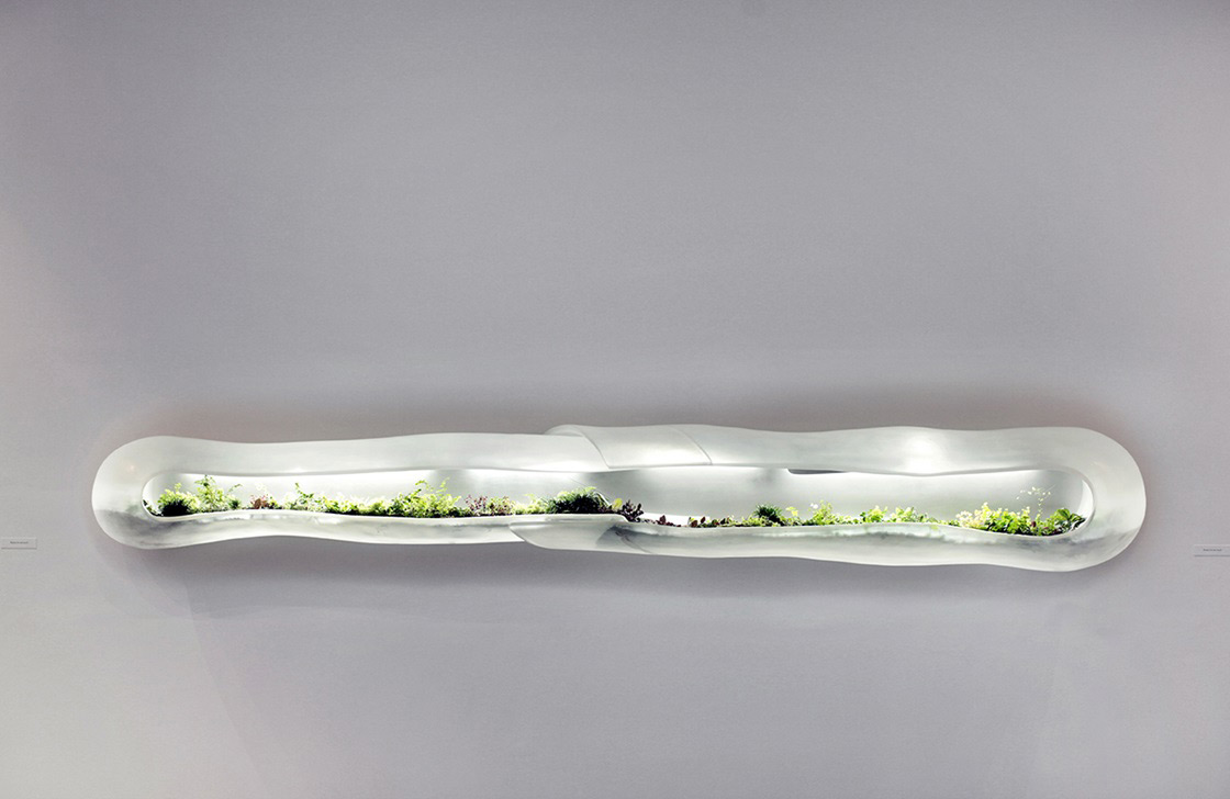 Paula Hayes - Non-planter