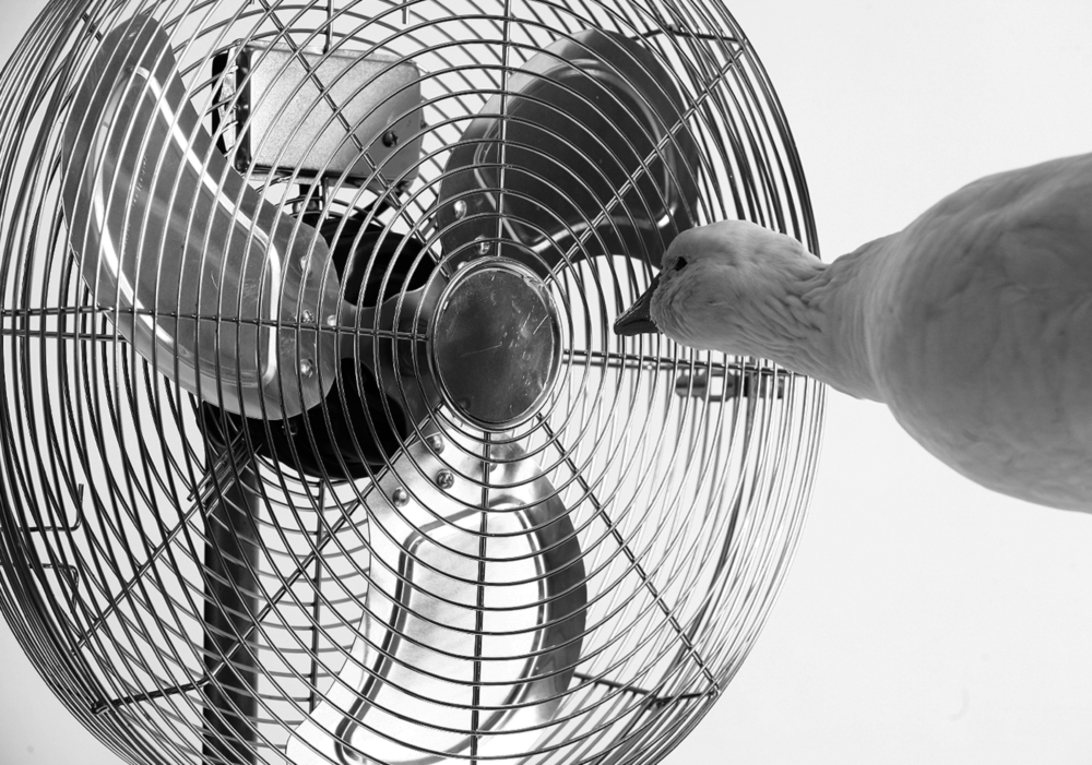 Sebastian E1655492491748