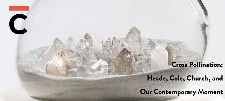 Paula Hayes - Crystal Terrarium