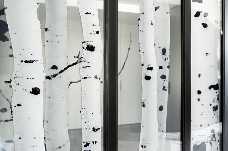 Amanda Weil Populous Tremuloides 2