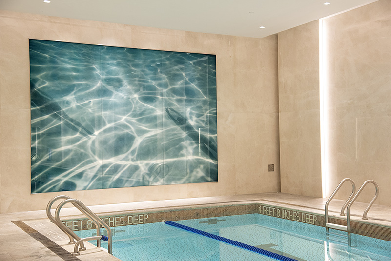 Amanda Weil Silhouette Swimmers 1