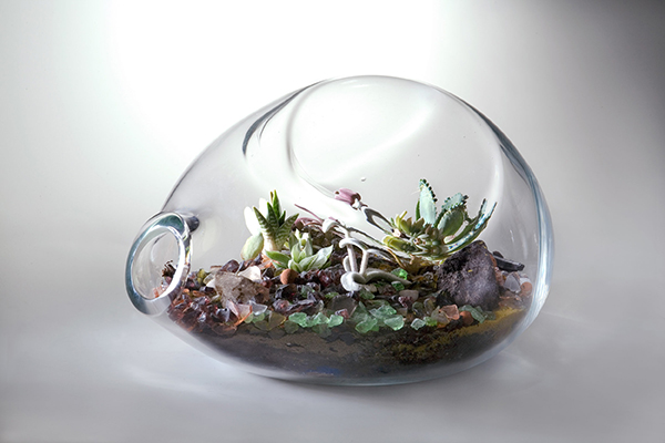 Paula Hayes Terrarium 4