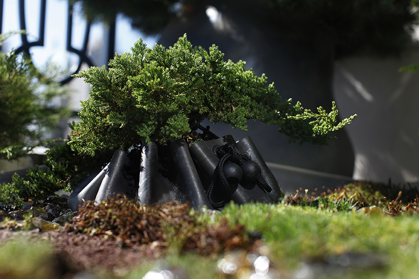 Paula Hayes Black Dumpling 4