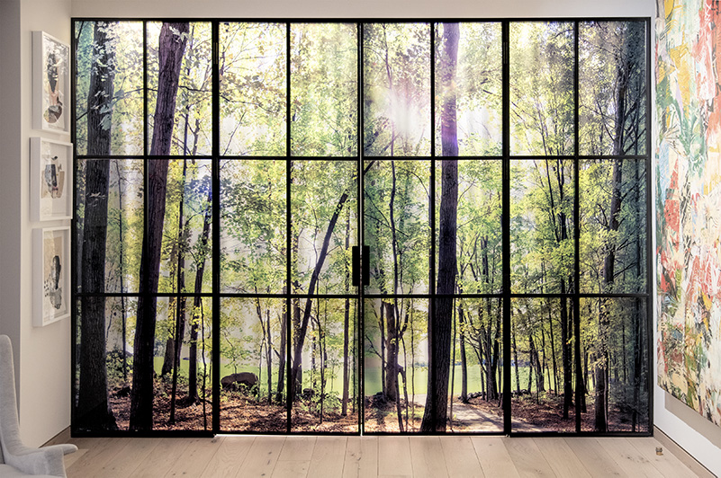 Amanda Weil Viam Silvae 2