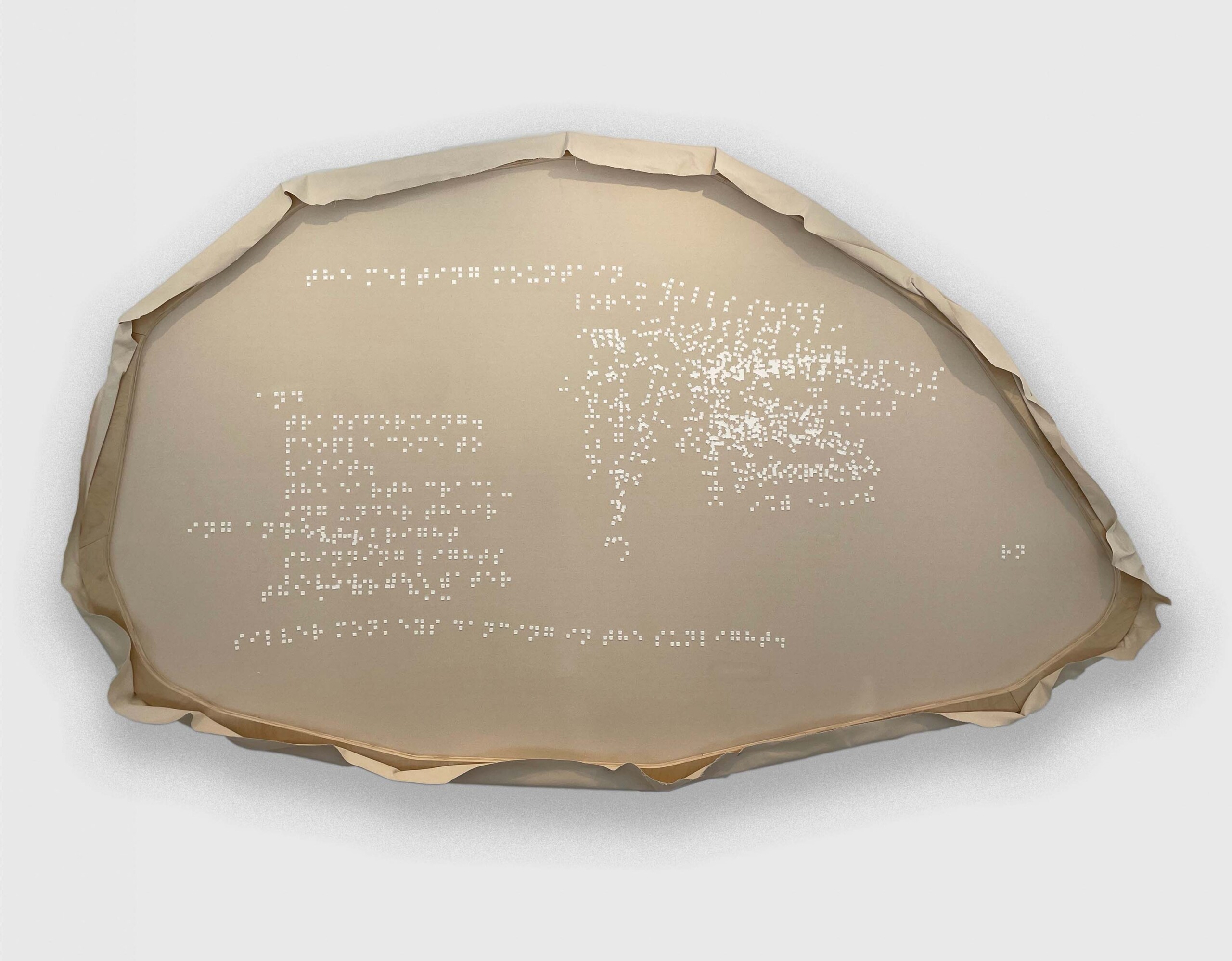 Monkeys Dancing In The Sunlight