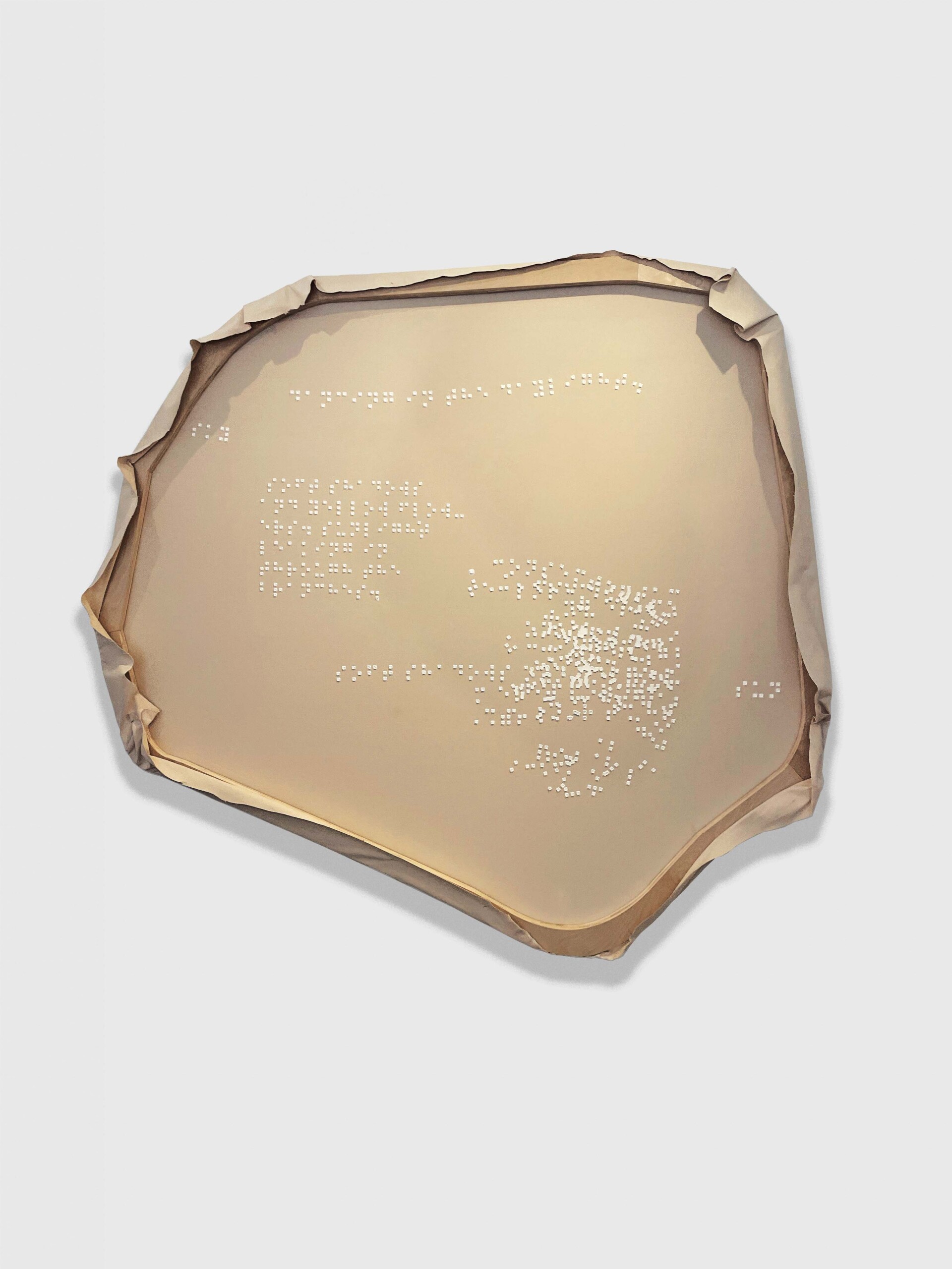 Soft Shadows And Yellow Flowers