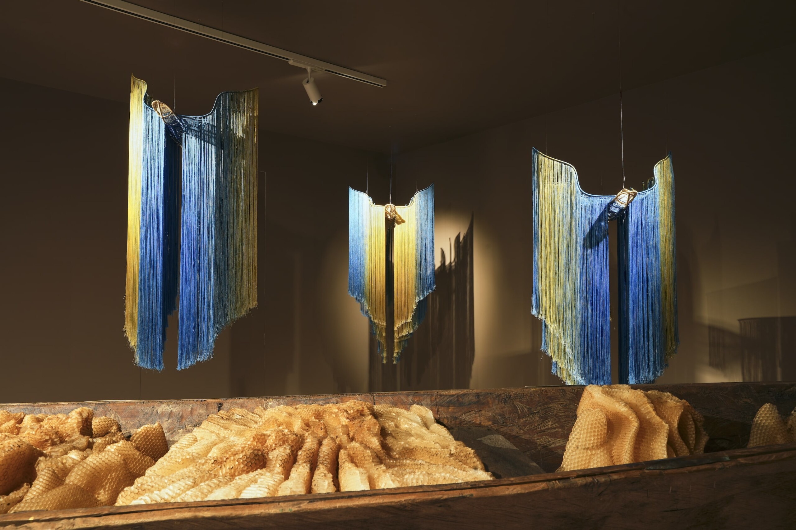 Hechizoo 31 Copy Min