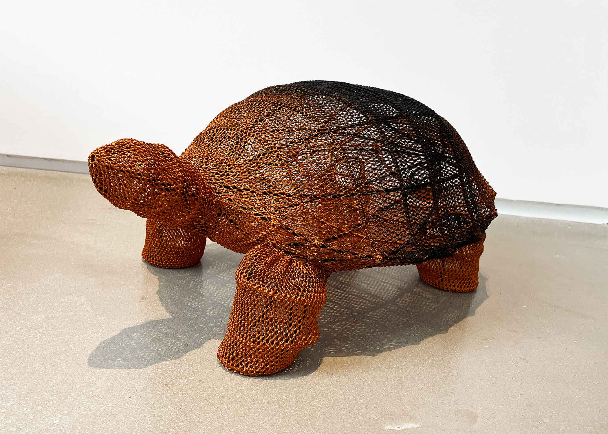Crochet Turle Hechizoo