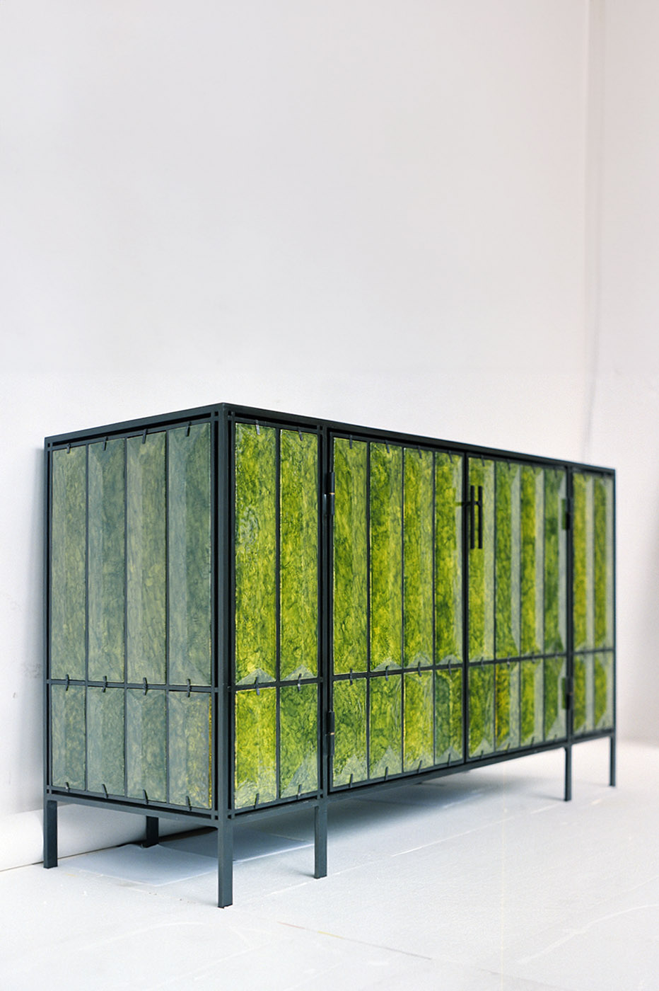 GreenLavaCab WebEdit